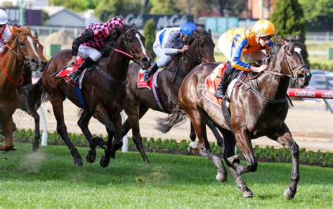 moir stakes betting|2023 Moir Stakes Odds, Form & Tips .